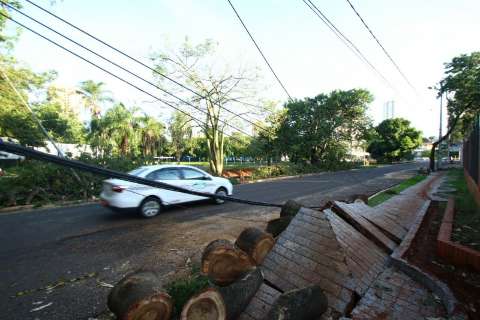 Árvores são cortadas e trânsito na Fernando Correa é normalizado