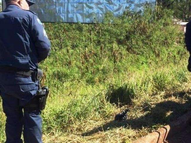 Feto &eacute; encontrado em saco de lixo &agrave;s margens da BR-463