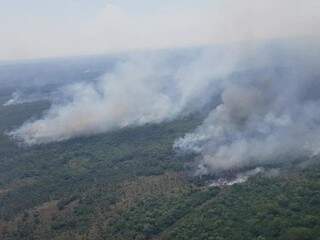 Vegetação devastada pelo fogo na região de Miranda. (Foto: Guilherme Pimentel)
