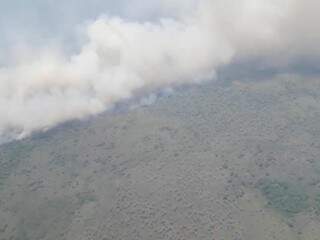Faixa de incêndio se espalha pela região do Passo do Lontra, no Pantanal Sul-mato-grossense (Foto: Reprodução)