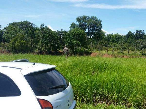 Arrastado por carro, Edy pertencia a crian&ccedil;a e teria morrido atropelado
