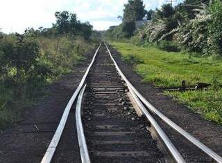Trechos estão desativados em MS, segundo Sindicato dos Trabalhadores em Ferroviárias de Bauru e Mato Grosso do Sul (Foto: Fernando Antunes)