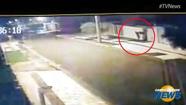 C&acirc;meras flagram furto e bandido rendido por moradores