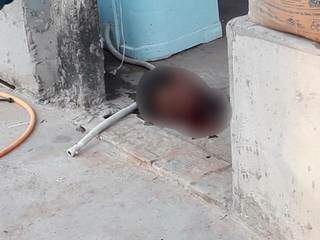 Cabeça da vítima deixada em varanda de residência (Foto: Edição MS) 