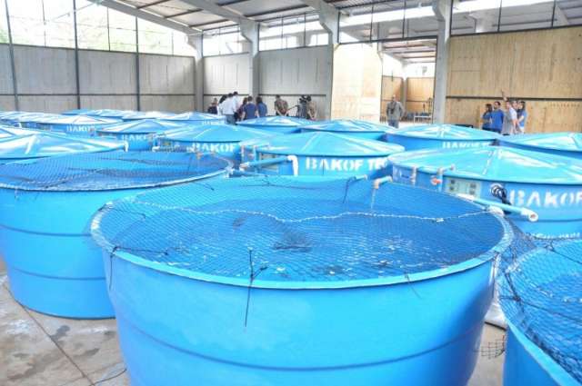 Assembleia entra tarde na apura&ccedil;&atilde;o de Aqu&aacute;rio, ap&oacute;s morte de 83% dos peixes   