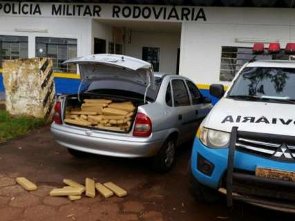 Jovem &eacute; preso com meia tonelada de maconha na rodovia MS-164
