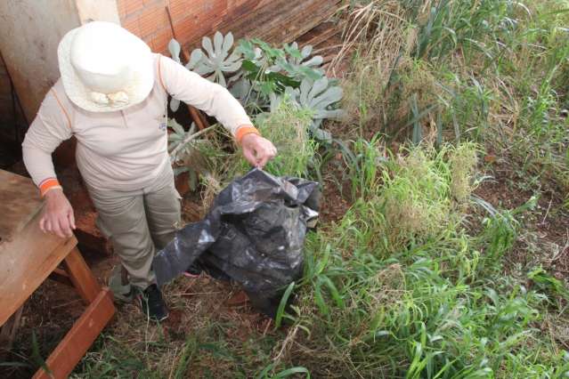 Em pouco mais de uma semana, 11,8 mil im&oacute;veis s&atilde;o vistoriados em 30 bairros