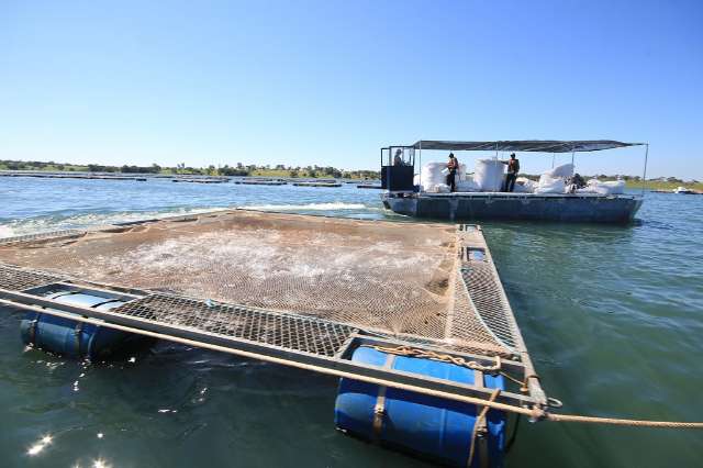 Potencial h&iacute;drico atrai investimentos e coloca MS no mercado de pescado