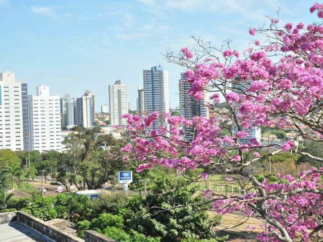 Campo Grande, 113 anos: quem somos?