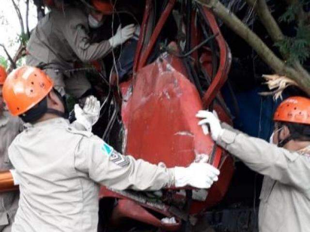 Motorista fica preso &agrave;s ferragens ao bater caminh&atilde;o em &aacute;rvores na BR-262