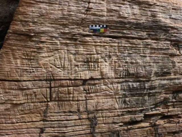  Pesquisadores descobrem dois s&iacute;tios arqueol&oacute;gicos em Alcin&oacute;polis