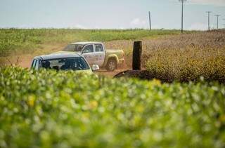 Rally da Safra percorre Dourados e Naviraí nos próximos dois dias para avaliar lavouras de soja precoce. (Foto: Giovane Rocha/ Rally da Safra)