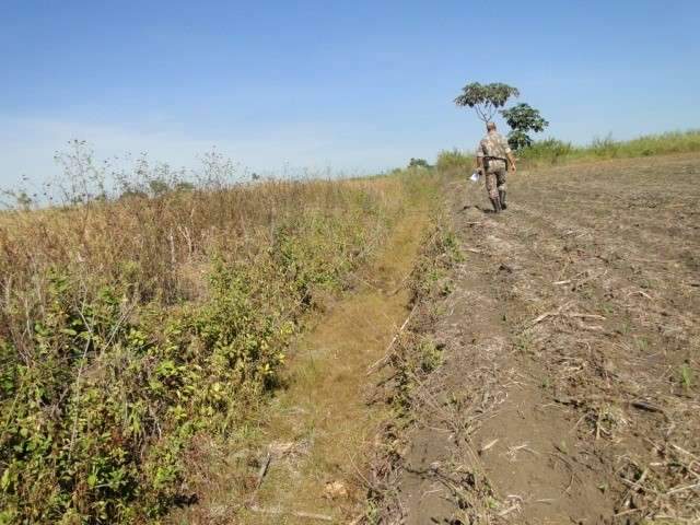 Fazendeira &eacute; multada em R$ 128 mil por drenagem em &aacute;rea de preserva&ccedil;&atilde;o 