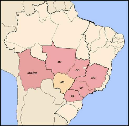  Dengue tipo 4 est&aacute; perto de MS e rede de sa&uacute;de n&atilde;o est&aacute; preparada, admite secret&aacute;ria