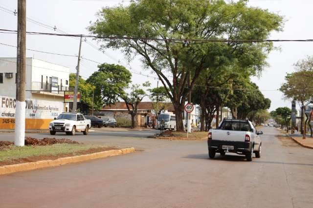 Prefeitura e Agesul n&atilde;o explicam se obra em avenida vai cortar 130 &aacute;rvores