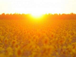 Pôr-do-sol que é símbolo de MS também reflete o calorão do Estado mais quente do país, nesta terça-feira (22). (Foto: Arquivo) 