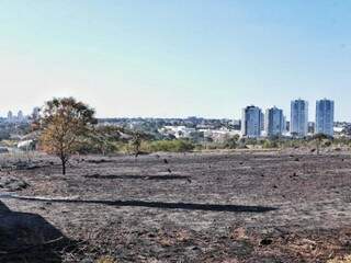 Área devastada pelo fogo em Campo Grande; um dos risco da baixa umidade relativa do ar. (Foto: Fernando Antunes)