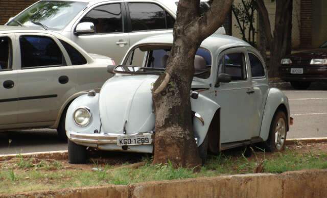  Fusca fica sem freio e colis&atilde;o em &aacute;rvore impede queda em c&oacute;rrego