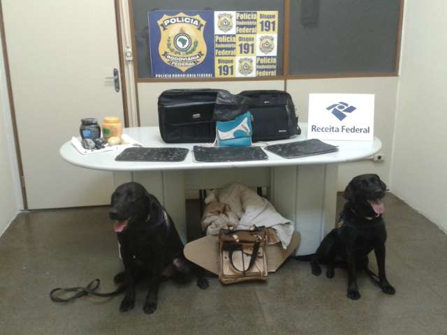 PRF apreende pacotes de coca&iacute;na pura que seriam levados para o exterior 