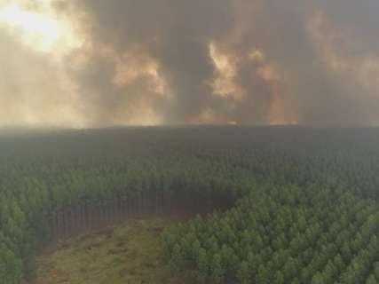 Incêndio em propriedade rural consumiu áreas de preservação ambiental