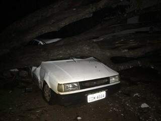 Árvore caída em cima de carro após temporal (Foto: BV News)