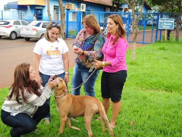 Piv&ocirc; de pol&ecirc;mica, c&atilde;o Scooby &eacute; devolvido a ONG 