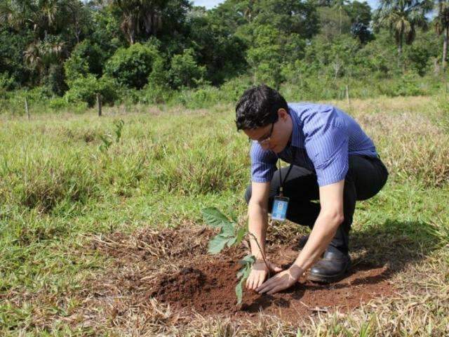 Programa estadual ir&aacute; premiar quem prestar servi&ccedil;os ambientais em MS