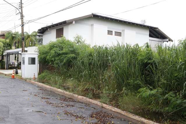 Saiba como se livrar dos caramujos, praga e at&eacute; morada do Aedes