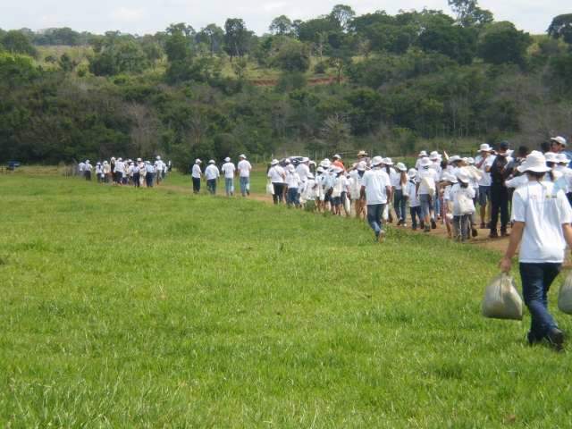 Ambientalistas plantam mais de 1,6 mil &aacute;rvores para preservar APA