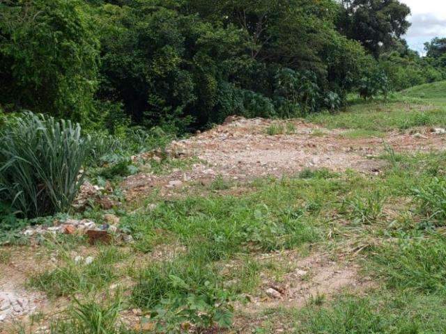 Frigor&iacute;fico &eacute; multado por jogar entulho de constru&ccedil;&atilde;o ao redor de c&oacute;rrego