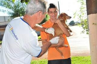 Agente do CCZ imuniza cachorro contra a raiva em Dourados. (Foto: Divulgação/Assecom)