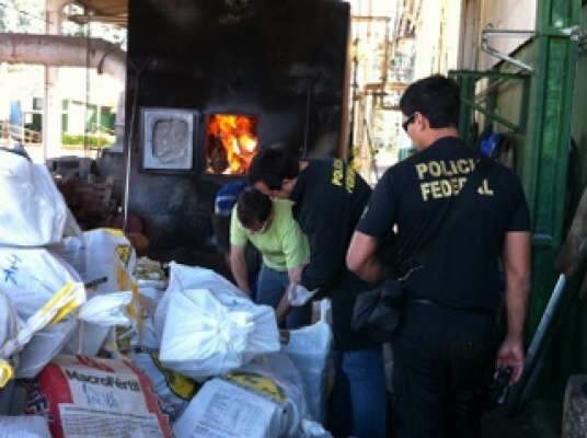  PF incinera mais de 3 toneladas de drogas em Ponta Por&atilde;