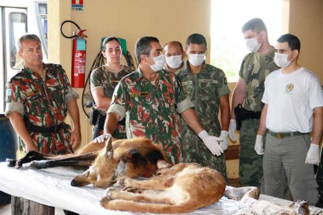 No curso para preservar animais mortos PMA discute educa&ccedil;&atilde;o ambiental