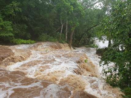 Nível do Rio da Prata atinge 3 metros e água turva volta a preocupar