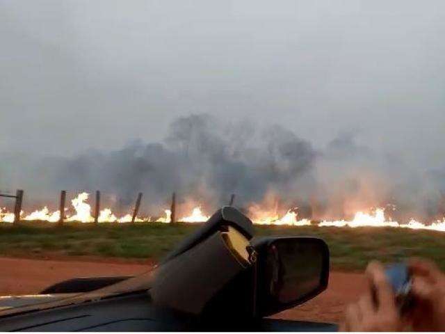 On&ccedil;as reaparecem e s&atilde;o al&iacute;vio para quem viu fogo devastar Pantanal 