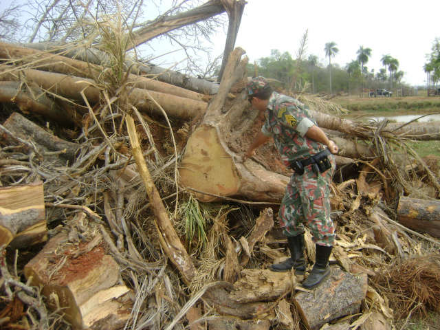  Propriet&aacute;rio de fazenda &eacute; multado em R$ 10 mil por desmatamento