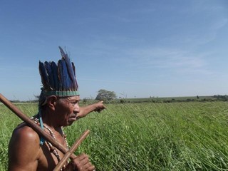Cacique Tito Vilhalva da terra indígena Guyraroká, , em Caarapó ((Tânia Caliari/Agência Pública)