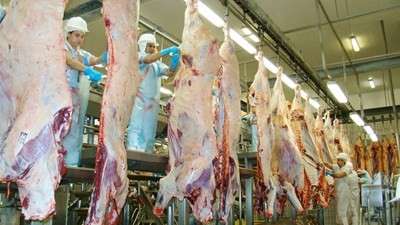 Fim do veto da China &agrave; carne brasileira pode ampliar exporta&ccedil;&otilde;es de MS