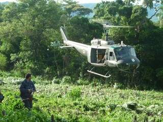 Polícia paraguaia utiliza helicópteros para encontrar lavouras. (Foto: O Progresso)
