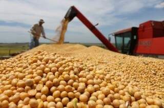 Em 2013, exportação da soja aumentou 62,9% em volume e rendeu 68,1% a mais (Foto: Divulgação)