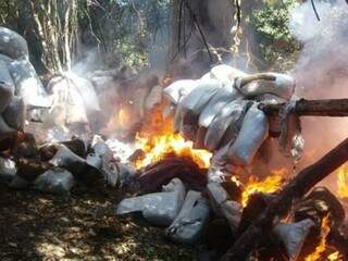 As 40 toneladas de maconha encontradas no acampamento foram queimadas (Foto: Divulgação/Senad)