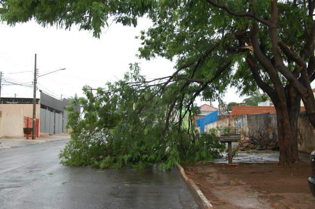  Temporal deixa alguns pontos de Campo Grande sem energia
