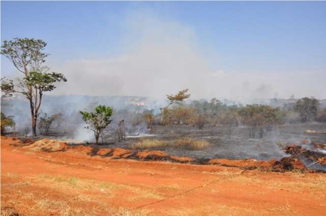 Inc&ecirc;ndio de grandes propor&ccedil;&otilde;es destr&oacute;i mata em Nova Andradina