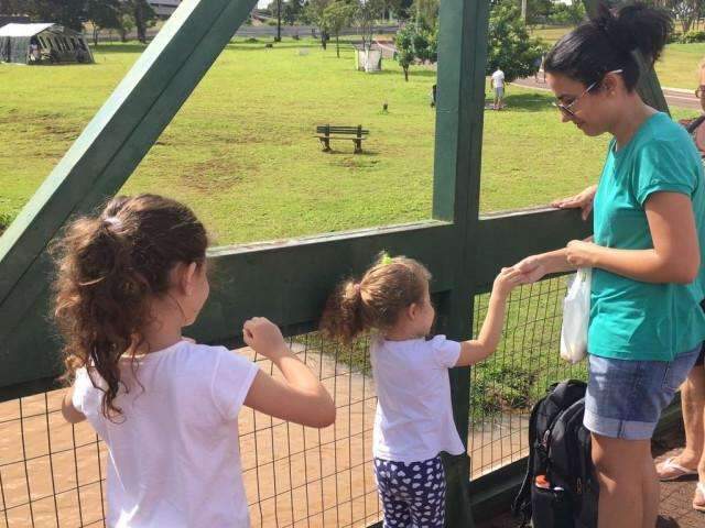 Uma hora &quot;a mais&quot; no dia estimula fam&iacute;lias a acordar cedo e ir ao parque 