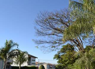 Céu claro, calor e tempo seco continuam em Campo Grande. (Foto: Simão Nogueira)