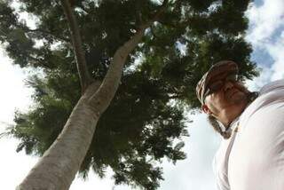 Biólogo teme corte de árvore e por isso iniciou campanha. (Foto: Cleber Gellio)