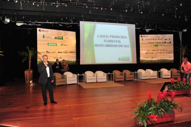 Governo prev&ecirc; investir R$ 20 bilh&otilde;es para atrair ind&uacute;strias de celulose