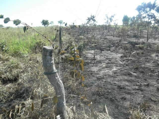 PMA multa assentado em R$ 23 mil por inc&ecirc;ndio irregular que atingiu vizinhos