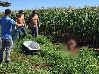 Com 4 tiros, corpo de mulher grávida é encontrado em plantação de milho Com 4 tiros, corpo de mulher grávida é encontrado em plantação de milho