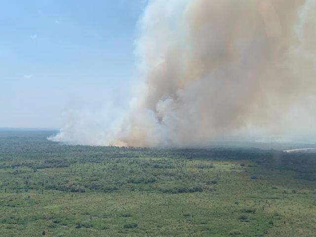 Bombeiros tentam h&aacute; 24h conter avan&ccedil;o do fogo no Pantanal